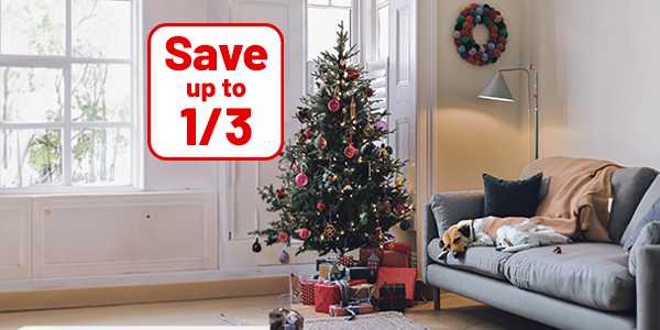 Save up to 1/3 on selected Christmas trees and lights. From snowy trees to sparkly lights. We've got you covered.
